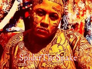 SpiderTheSnake