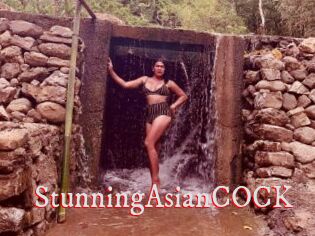 StunningAsianCOCK