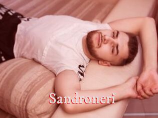 Sandroneri