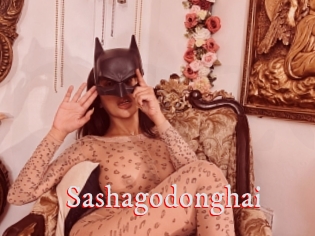 Sashagodonghai
