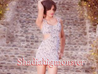 Shadiabigmonster