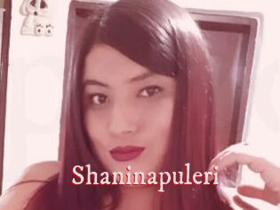 Shaninapuleri