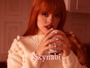 Skynabi