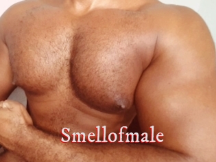 smellofmale Pornstars Zoe