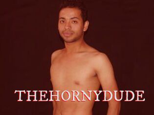 THEHORNYDUDE