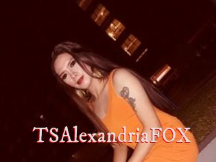 TSAlexandriaFOX