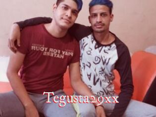 Tegusta29xx