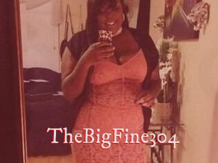 TheBigFine304
