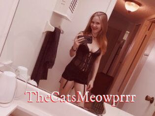 TheCatsMeowprrr