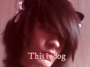 This_is_dog