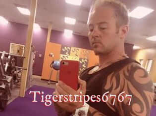 Tigerstripes6767