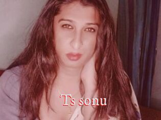 Ts_sonu