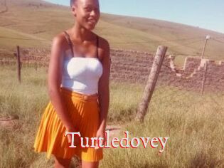 Turtledovey