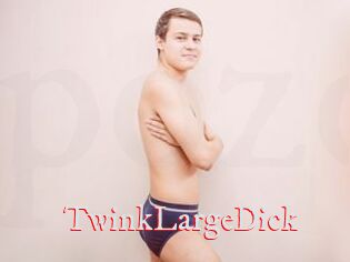 TwinkLargeDick