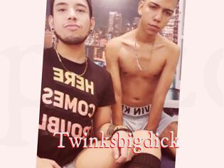 Twinksbigdick