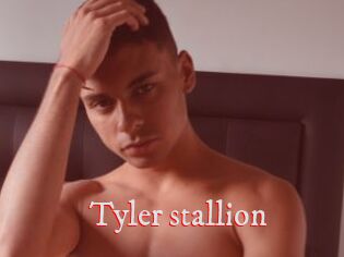 Tyler_stallion