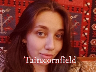 Taitecornfield