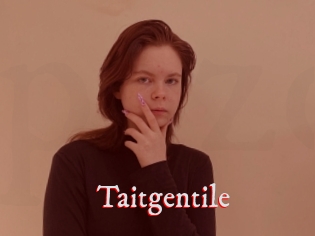 Taitgentile