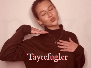 Taytefugler