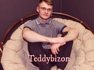 Teddybizon