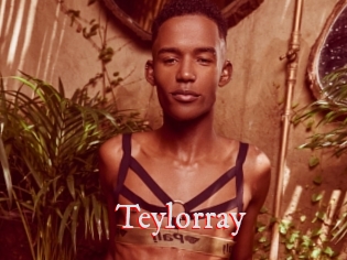 teylorray Pornstars Zoe
