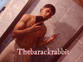 Thebarackrabbit