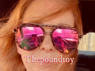 Thepoundtoy