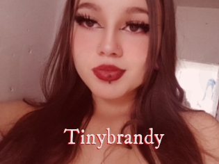Tinybrandy