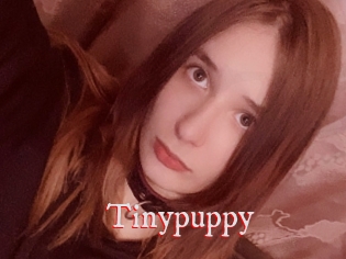 Tinypuppy