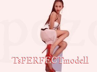 TsPERFECTmodell