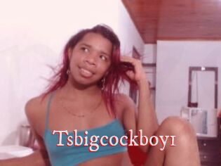 Tsbigcockboy1