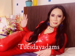 Tuesdayadams