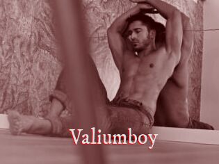 Valiumboy