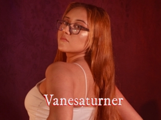 Vanesaturner