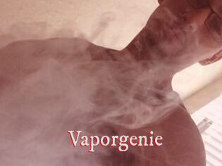 Vapor_genie