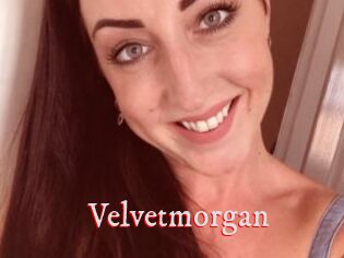 Velvetmorgan