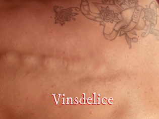 Vinsdelice