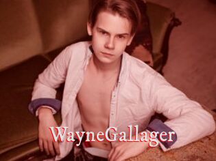 WayneGallager