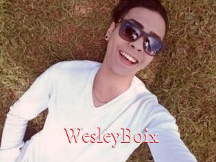 Wesley_Boix