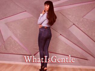 WhatIsGentle
