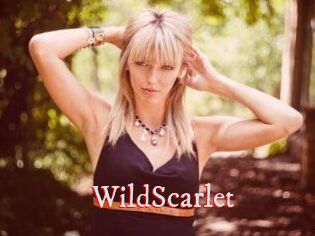 WildScarlet