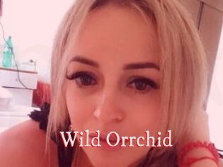 Wild_Orrchid