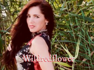 Wildredflower