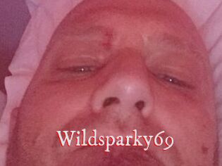 Wildsparky69