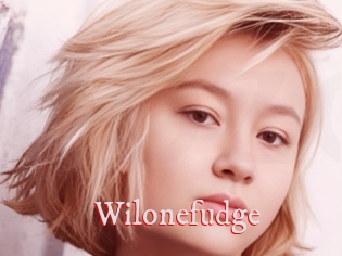 Wilonefudge