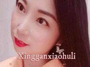 Xingganxiaohuli