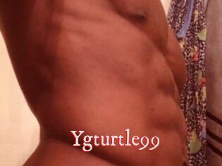 Ygturtle99