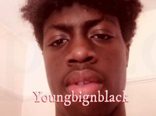 youngbignblack Pornstars Zoe