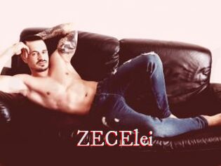 ZECElei
