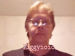 Ziggy2020